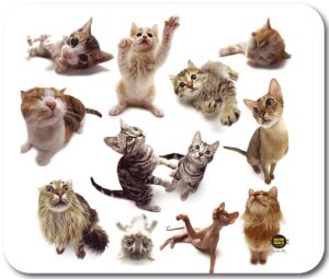 All-06915 Mousepad Cat Group