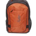 Backpuck Orange Grey