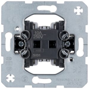 Berker Μπουτον 10a 250v