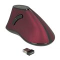 DELOCK εργονομικό vertical mouse Οπτικό ασύρματο 5 buttons