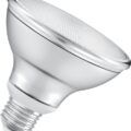 Ecolamp Λάμπα Led Par30 11W E27 4000K 7306E/C Vk