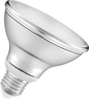 Ecolamp Λάμπα Led Par30 11W E27 4000K 7306E/C Vk