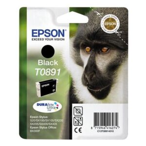 Epson T00891 Stylus S20 Black W/Pigment Ink