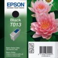 Epson T013 Ink Cartridge 480 Black