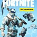 Fortnite Deep Freeze Bundle PC Game