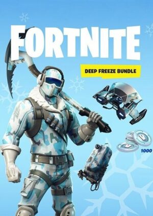 Fortnite Deep Freeze Bundle PC Game