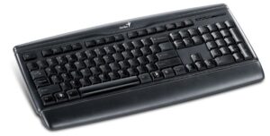 Genius Basic PS/2 Black KB120