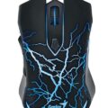 Genius Desktop Mouse Usb 2000dpi 6but Optical Blue