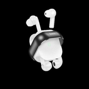 Hoco Blizzard Bouble Pair Bluetooth Headset DES40
