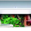 HP A4 Deskjet 5940 C9017b