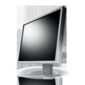 LCD Monitor 17'' EIZO P1700 Gray
