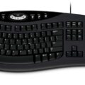Microsoft Comfort Curve KB 2000 M/W Black