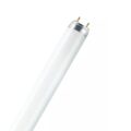 Osram Λάμπα Φθορίου T8 36W 865