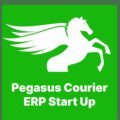 Pegasus Courier ERP Start Up