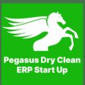 Pegasus Dry Clean ERP Start Up