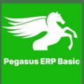 Pegasus ERP Basic