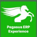 Pegasus ERP Experience