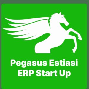 Pegasus Estiasi ERP Start Up