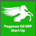 Pegasus Oil ERP Start Up