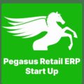 Pegasus Retail ERP Start Up