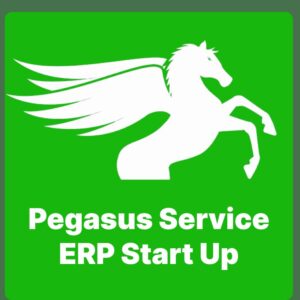 Pegasus Service ERP Start Up
