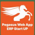 Pegasus Web App ERP Start UP