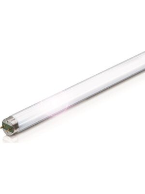Philips Λάμπα Φθορίου T8 36W Snowwhite