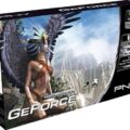 Pny Gf 6200 512Mb Ddr Agp8X Dvi Tvo