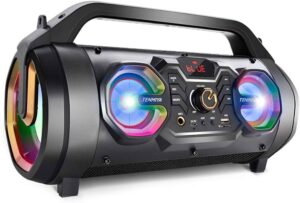 Portable Speaker 30W with FM Radio Micro Memory Card USB Bluetooth AUX Light / Gray