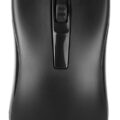 Powertech Ενσύρματο Ποντίκι 1000Dpi Usb Μαύρο