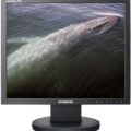 Samsung Syncmaster 723n