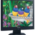 ViewSonic Monitor VA703B 17'' LCD 5ms
